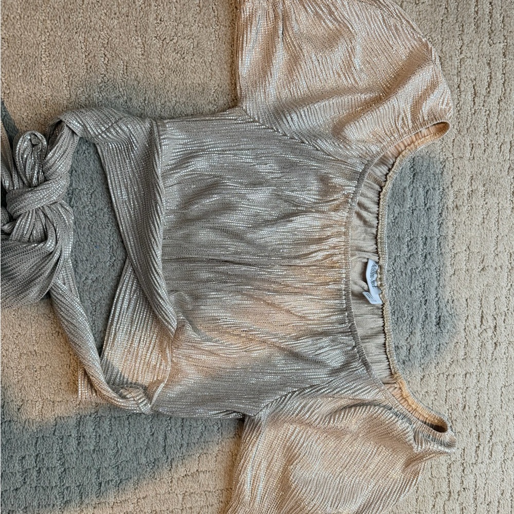 Shimmery Gold Crop Top with Off the Shoulder Sleeves
